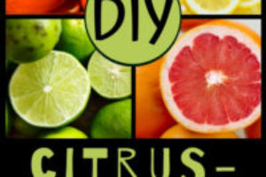 DIY Citrus Vinegar Cleaners